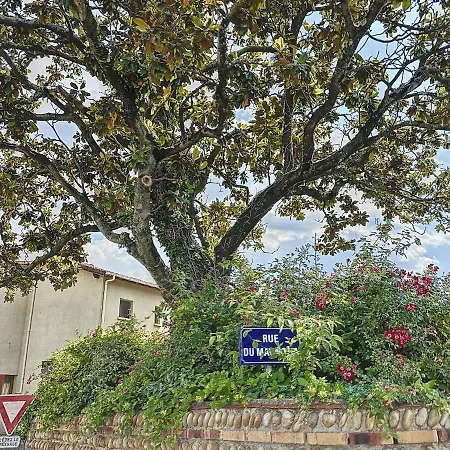 Le Magnolia